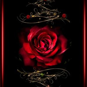 Meet your Posher, Pamela